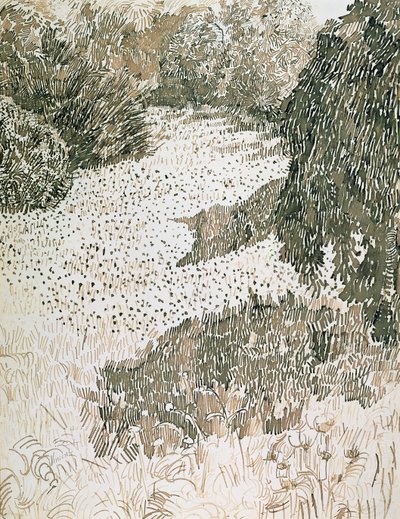 Die Ecke des Parks, 1888 von Vincent van Gogh